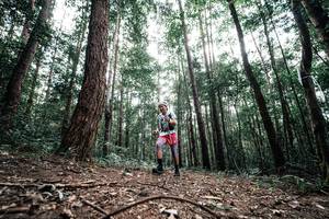 BIB: 
                            <button type="button" onclick="openModal(25261326)" class="btn btn-primary btn-sm float-right btn-popup" data-toggle="modal" data-target=".modal-high-quality">
                        <i class="fas fa-shopping-cart"></i> Add to Cart
                    </button>
                                            <button type="button" onclick="isThisMe(25261326, true)" class="btn btn-success btn-sm float-right btn-popup btn-isme hidden" data-toggle="tooltip" data-placement="bottom" title="นี่คือรูปของคุณใช่ไหม คลิกที่นี่เพื่อเอาเข้าอัลบั้ม">
                        <i class="fas fa-plus"></i> Add to album
                    </button>
                    <button type="button" onclick="isThisMe(25261326, false)" class="btn btn-warning btn-sm float-right btn-popup btn-isnotme hidden">
                        <i class="fas fa-ban"></i> Remove from album
                    </button>